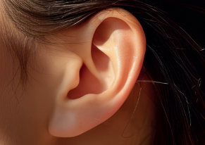 Tinnitus / oorsuizen