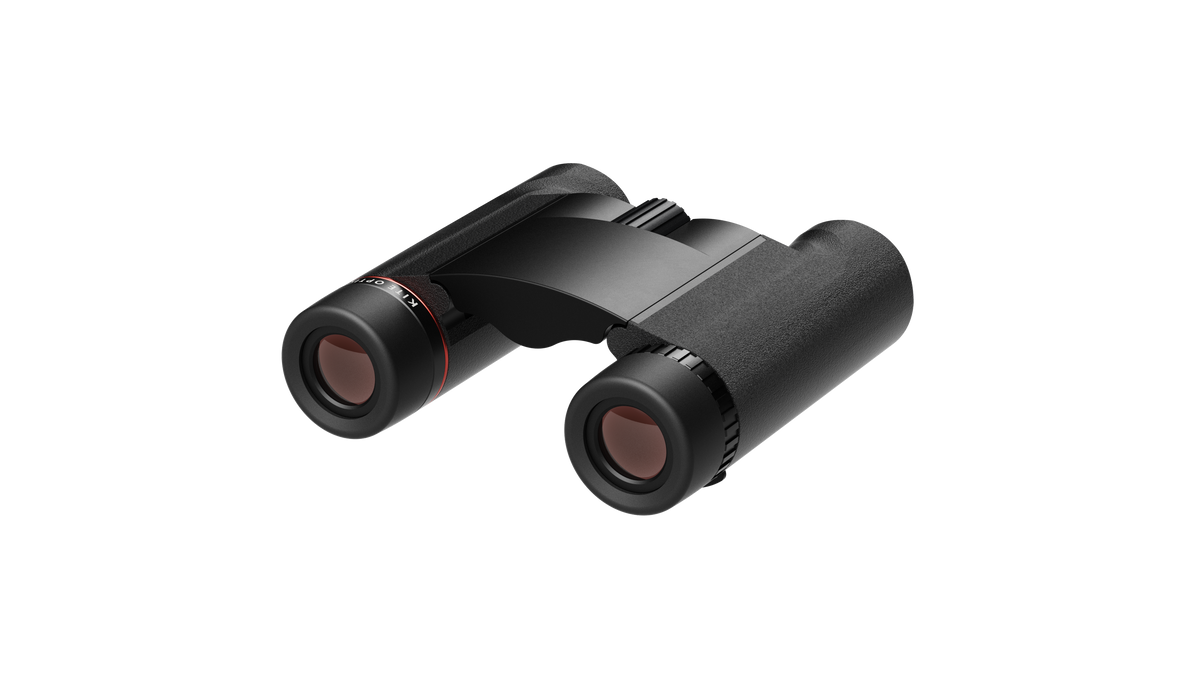 Falco 10x25
