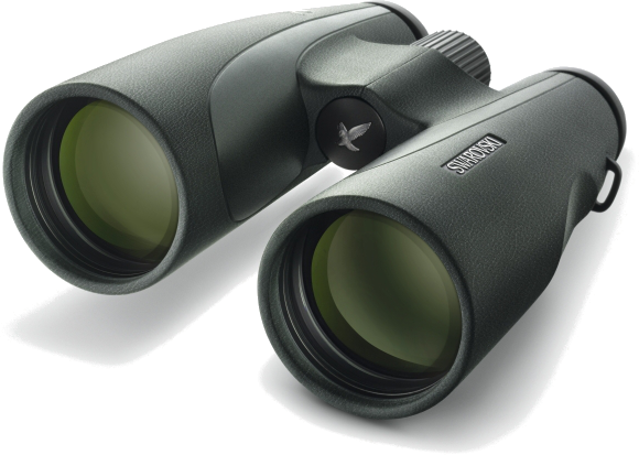 SLC 8x56 W B