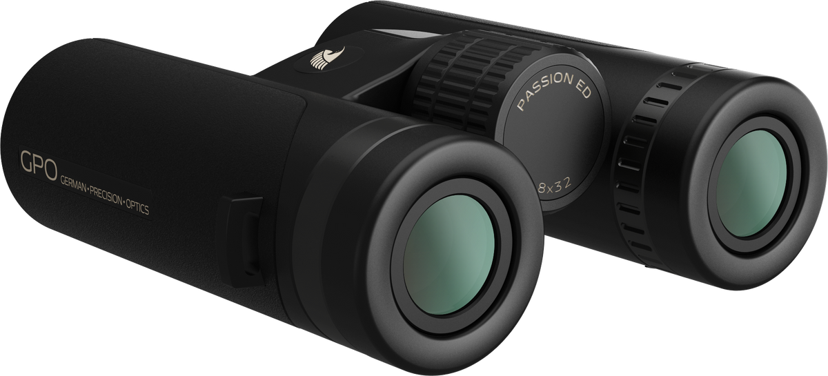 PASSION 8x32ED